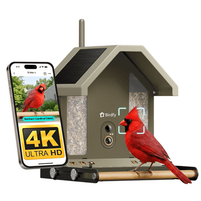 Birdfy Feeder Metal 2 4K - Smart Bird Feeder with Camera