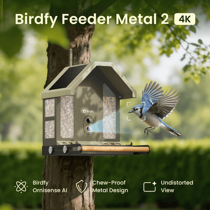 Birdfy Feeder Metal 2 4K - Smart Bird Feeder with Camera