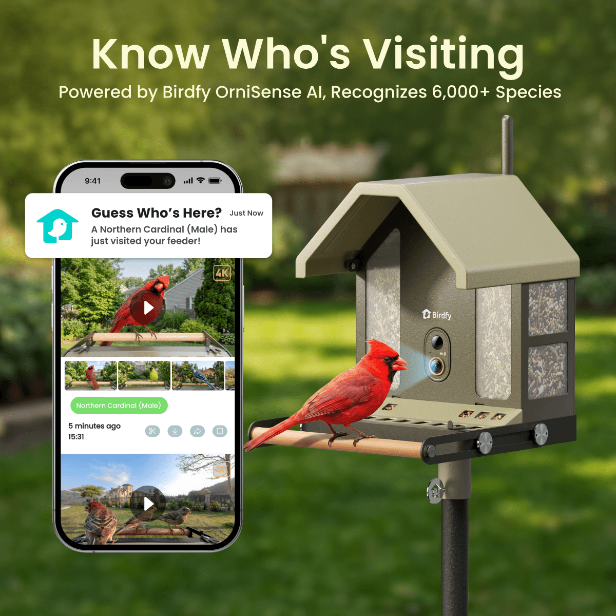 Birdfy Feeder Metal 2 4K - Smart Bird Feeder with Camera