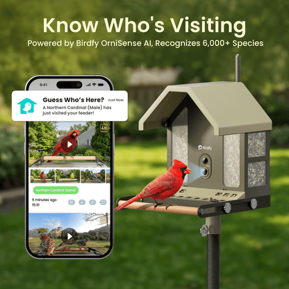 Birdfy Feeder Metal 2 4K - Smart Bird Feeder with Camera