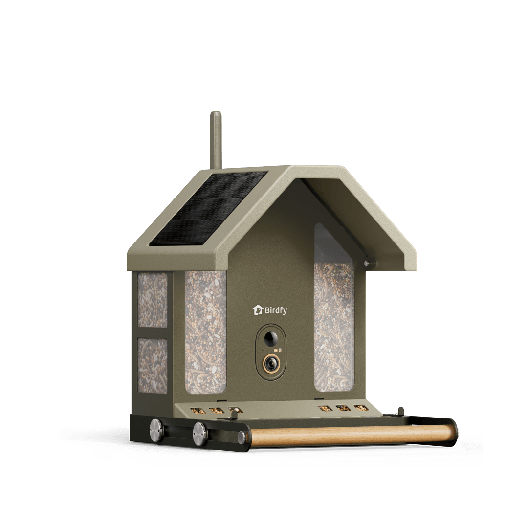 Birdfy Feeder Metal 2 4K - Smart Bird Feeder with Camera