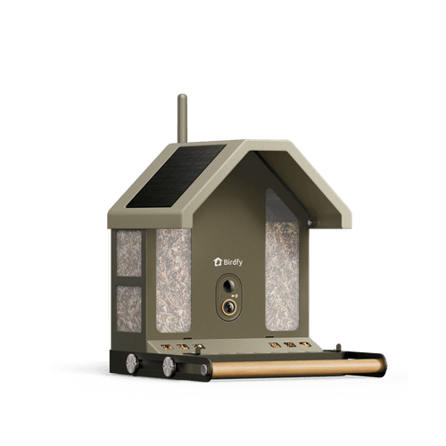 Birdfy Feeder Metal 2 4K - Smart Bird Feeder with Camera